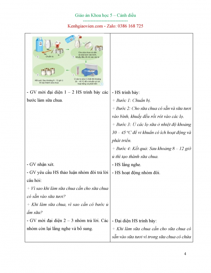 Giáo án và PPT Khoa học 5 cánh diều bài 13: Vi khuẩn có ích trong chế biến thực phẩm