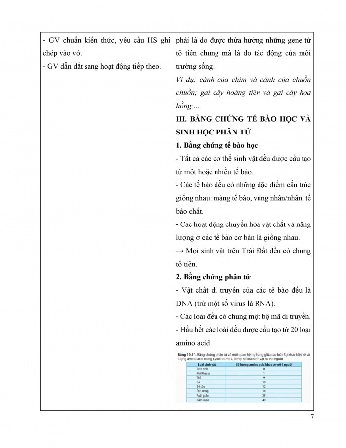 Giáo án và PPT Sinh học 12 kết nối Bài 19: Các bằng chứng tiến hoá