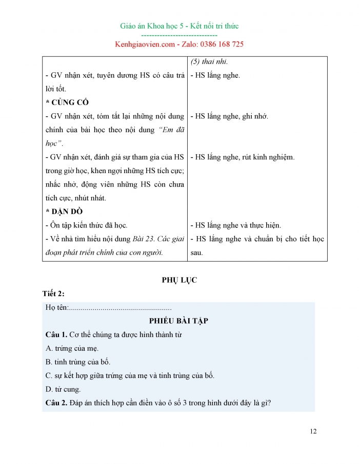 Giáo án và PPT Khoa học 5 Kết nối bài 22: Sự hình thành cơ thể người