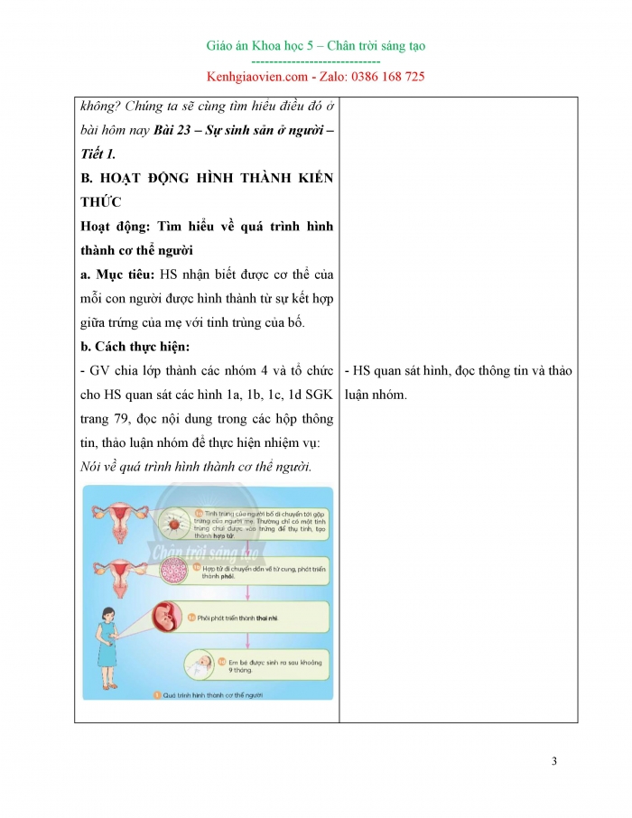 Giáo án và PPT Khoa học 5 chân trời bài 23: Sự sinh sản ở người