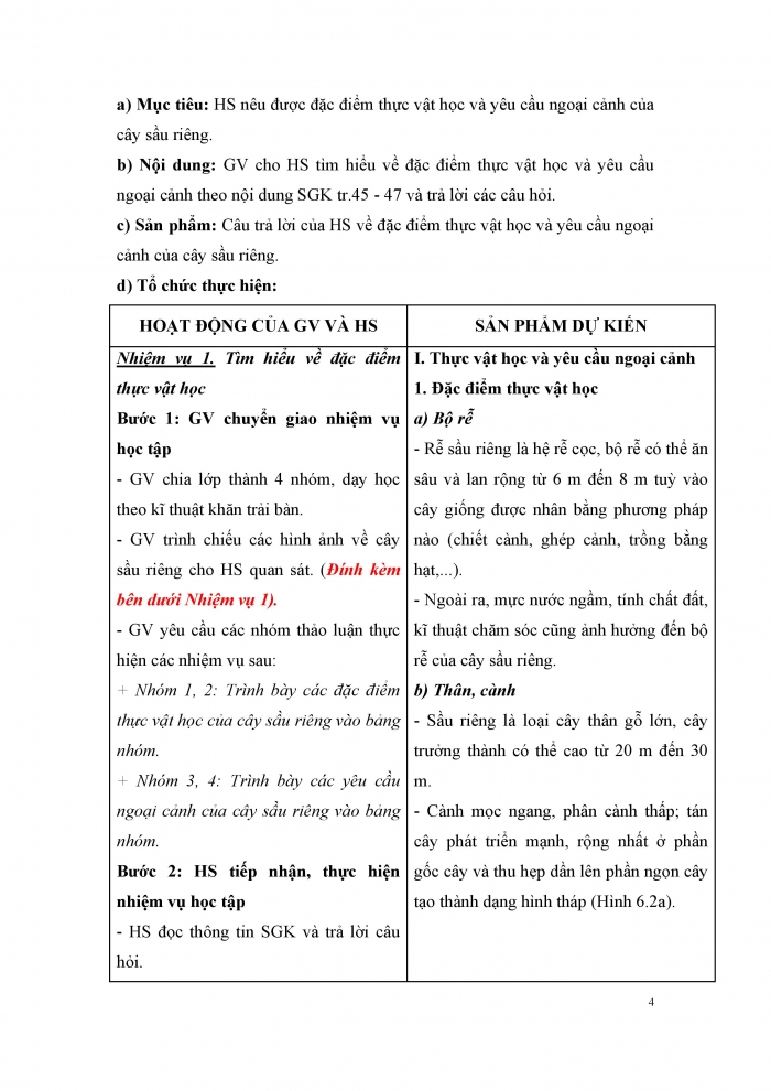 Giáo án và PPT Công nghệ 9 Trồng cây ăn quả Kết nối Bài 6: Kĩ thuật trồng và chăm sóc cây sầu riêng