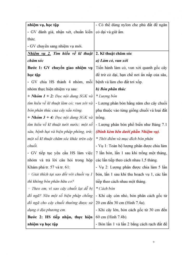 Giáo án và PPT Công nghệ 9 Trồng cây ăn quả Kết nối Bài 7: Kĩ thuật trồng và chăm sóc cây chuối