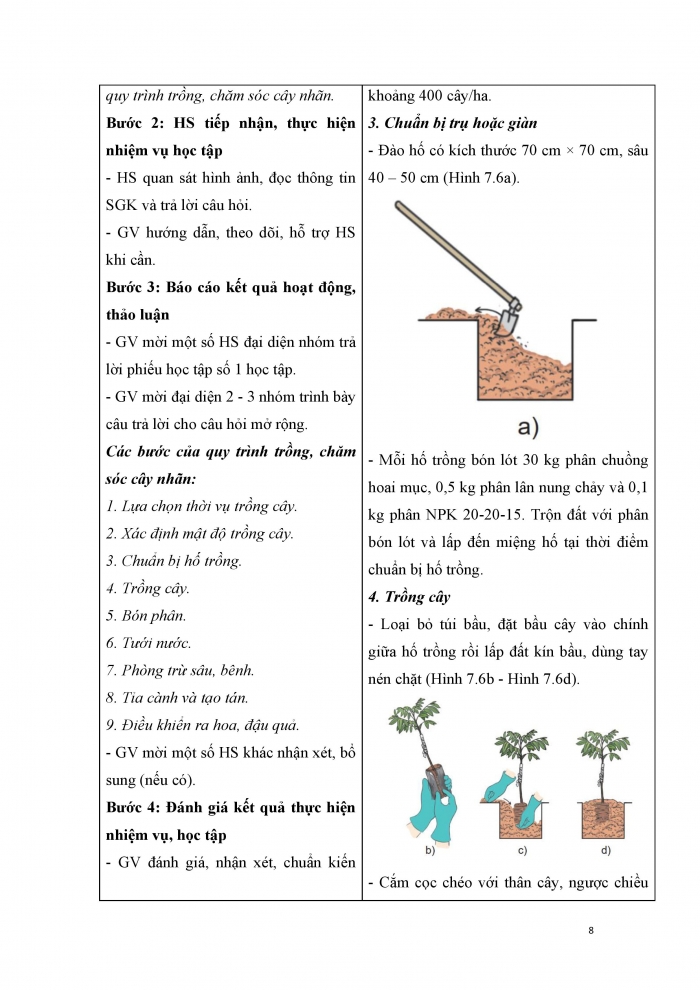 Giáo án và PPT công nghệ 9 trồng cây ăn quả Cánh diều bài 7: Kĩ thuật trồng và chăm sóc cây nhãn