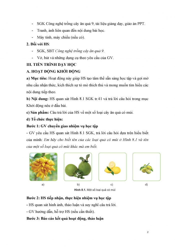 Giáo án và PPT công nghệ 9 trồng cây ăn quả Cánh diều bài 8: Kĩ thuật trồng và chăm sóc cây ăn quả có múi