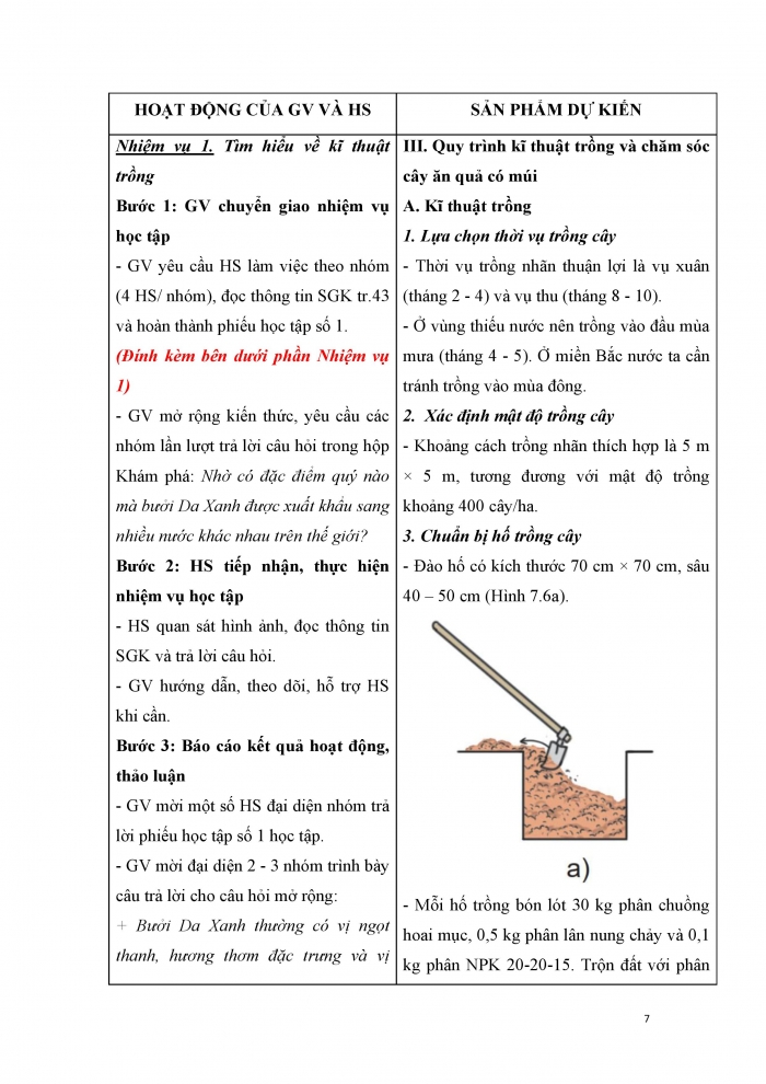 Giáo án và PPT công nghệ 9 trồng cây ăn quả Cánh diều bài 8: Kĩ thuật trồng và chăm sóc cây ăn quả có múi