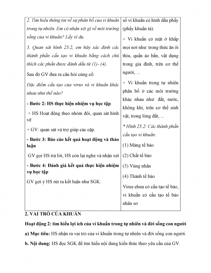 Giáo án và PPT KHTN 6 chân trời Bài 25: Vi khuẩn