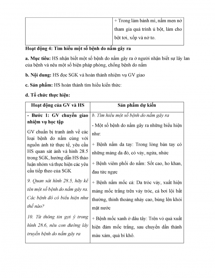 Giáo án và PPT KHTN 6 chân trời Bài 28: Nấm