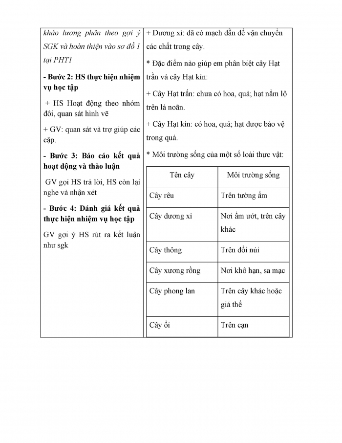 Giáo án và PPT KHTN 6 chân trời Bài 29: Thực vật