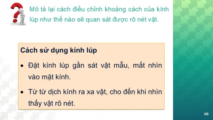 Giáo án PPT KHTN 6 kết nối Bài 3: Sử dụng kính lúp