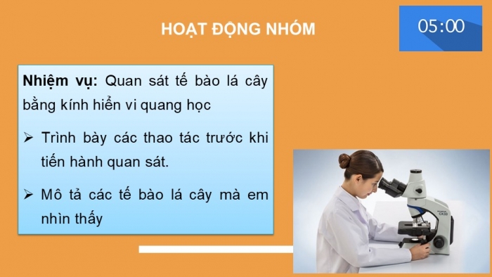 Giáo án PPT KHTN 6 kết nối Bài 4: Sử dụng kính hiển vi quang học