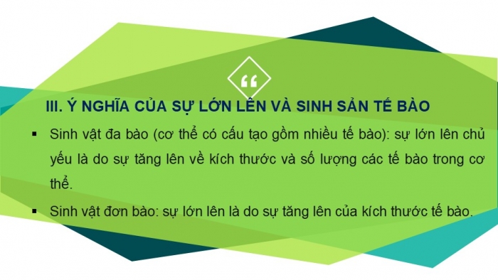 Giáo án PPT KHTN 6 kết nối Bài 20: Sự lớn lên và sinh sản của tế bào