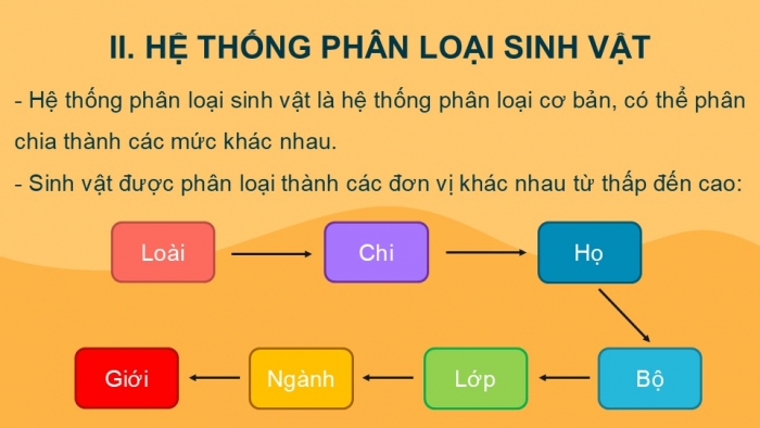 Giáo án PPT KHTN 6 kết nối Bài 25: Hệ thống phân loại sinh vật