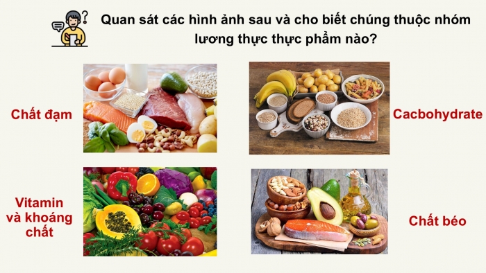 Giáo án PPT KHTN 6 kết nối Bài 15: Một số lương thực, thực phẩm