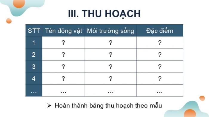 Giáo án PPT KHTN 6 kết nối Bài 37 Thực hành: Quan sát và nhận biết một số nhóm động vật ngoài thiên nhiên