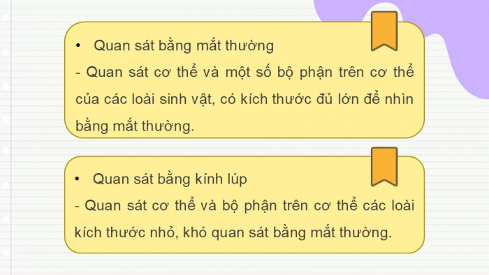 Giáo án PPT KHTN 6 kết nối Bài 39: Tìm hiểu sinh vật ngoài thiên nhiên