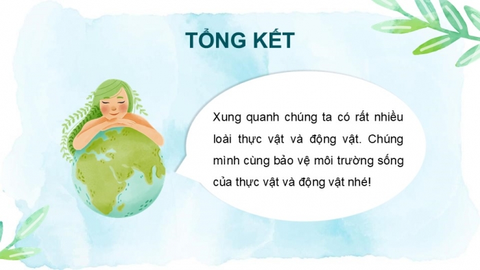 Giáo án PPT Tự nhiên và Xã hội 2 kết nối Bài 19: Thực vật và động vật quanh em