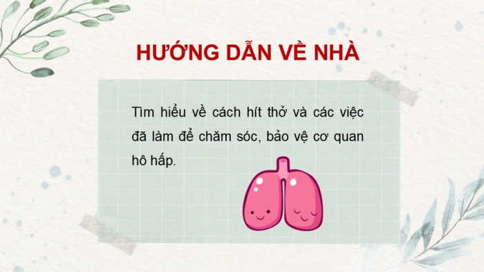 Giáo án PPT Tự nhiên và Xã hội 2 kết nối Bài 24: Chăm sóc, bảo vệ cơ quan hô hấp