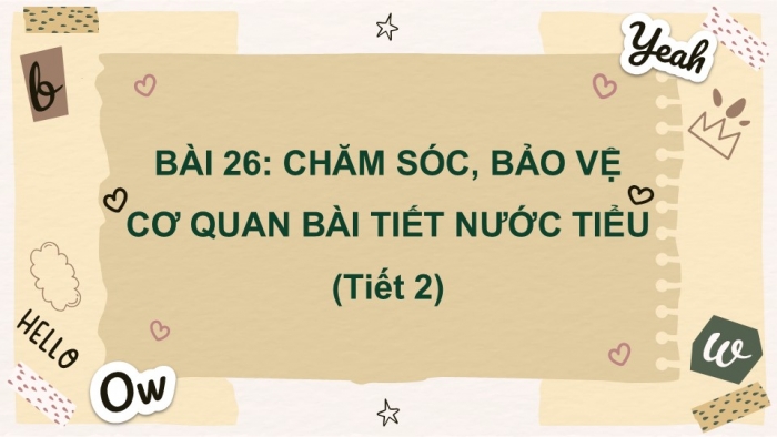 Giáo án PPT Tự nhiên và Xã hội 2 kết nối Bài 26: Chăm sóc, bảo vệ cơ quan bài tiết nước tiểu