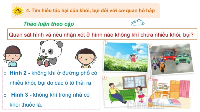 Giáo án PPT Tự nhiên và Xã hội 2 cánh diều Bài 17: Bảo vệ cơ quan hô hấp