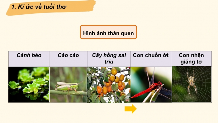 Giáo án PPT Ngữ văn 6 chân trời Bài 3: Hoa bìm