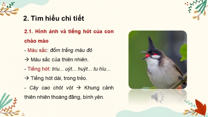 Giáo án PPT Ngữ văn 6 kết nối Bài 3: Con chào mào