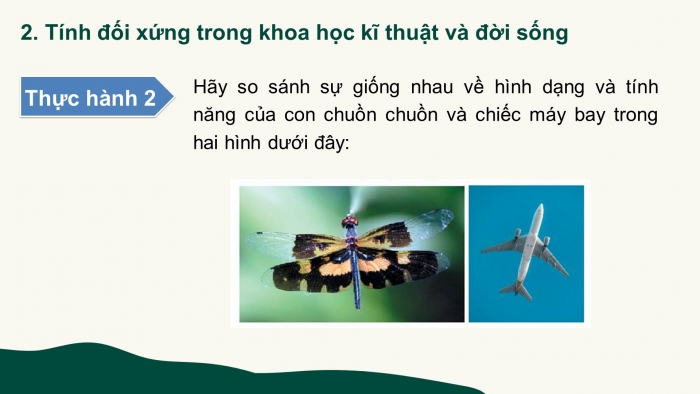 Giáo án PPT Toán 6 chân trời Bài 3: Vai trò của tính đối xứng trong thế giới tự nhiên