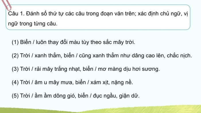 Giáo án điện tử Tiếng Việt 5 cánh diều Bài 11: Câu đơn và câu ghép