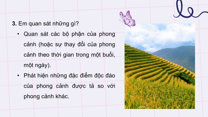 Giáo án điện tử Tiếng Việt 5 cánh diều Bài 11: Luyện tập tả phong cảnh (Thực hành quan sát)