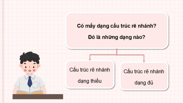 Giáo án điện tử Tin học 5 chân trời Bài 10: Cấu trúc rẽ nhánh