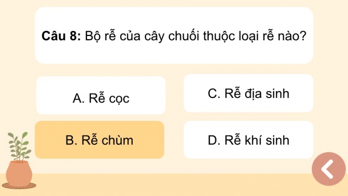 Giáo án điện tử Công nghệ 9 Trồng cây ăn quả Cánh diều Bài Ôn tập