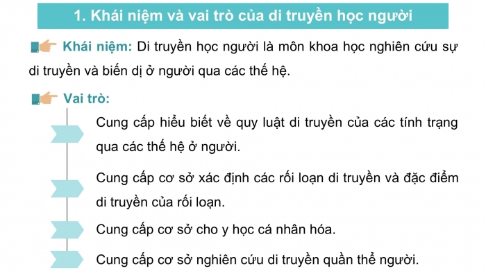 Giáo án điện tử Sinh học 12 cánh diều Bài 14: Di truyền học người