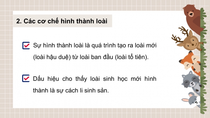 Giáo án điện tử Sinh học 12 cánh diều Bài 18: Thuyết tiến hoá tổng hợp hiện đại (Phần 2)