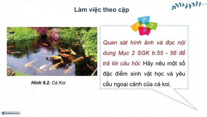 Giáo án điện tử chuyên đề Công nghệ 12 Lâm nghiệp Thuỷ sản Cánh diều Bài 9: Một số loài cá cảnh phổ biến