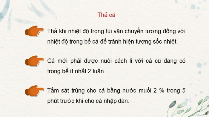 Giáo án điện tử chuyên đề Công nghệ 12 Lâm nghiệp Thuỷ sản Cánh diều Bài 10: Kĩ thuật nuôi dưỡng, chăm sóc một số loại cá cảnh phổ biến