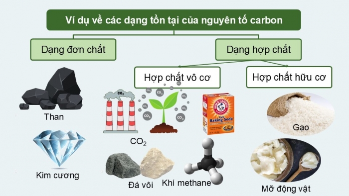 Giáo án điện tử KHTN 9 cánh diều - Phân môn Hoá học Bài 32: Nguồn carbon. Chu trình carbon. Sự ấm lên toàn cầu