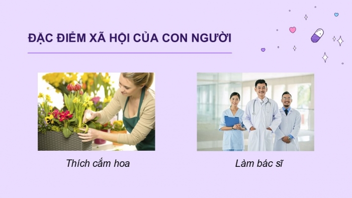 Giáo án điện tử Khoa học 5 kết nối Bài 24: Nam và nữ