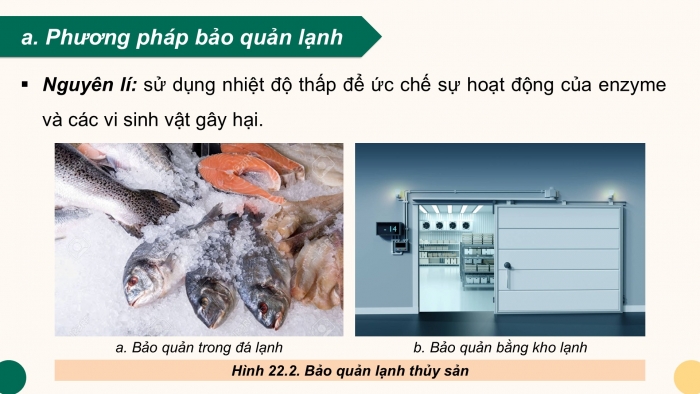 Giáo án điện tử Công nghệ 12 Lâm nghiệp - Thủy sản Kết nối Bài 22: Bảo quản và chế biến sản phẩm thủy sản