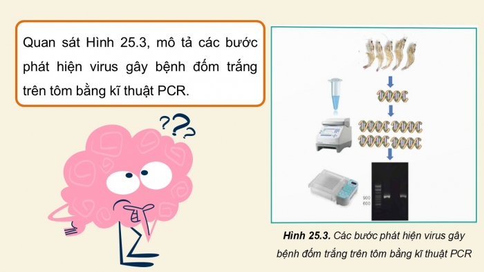 Giáo án điện tử Công nghệ 12 Lâm nghiệp - Thủy sản Kết nối Bài 25: Ứng dụng công nghệ sinh học trong phòng, trị bệnh thủy sản