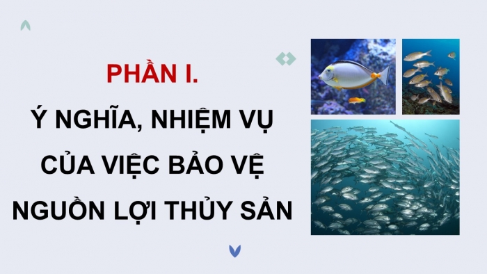 Giáo án điện tử Công nghệ 12 Lâm nghiệp - Thủy sản Kết nối Bài 26: Bảo vệ nguồn lợi thủy sản