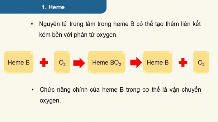 Giáo án điện tử chuyên đề Hoá học 12 cánh diều Bài 8: Vai trò và ứng dụng của phức chất