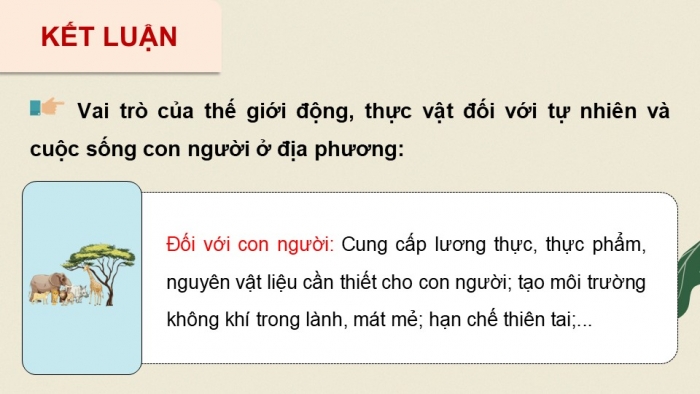 Giáo án điện tử Hoạt động trải nghiệm 12 chân trời bản 1 Chủ đề 9: Bảo vệ cảnh quan thiên nhiên, thế giới động vật và thực vật (P3)