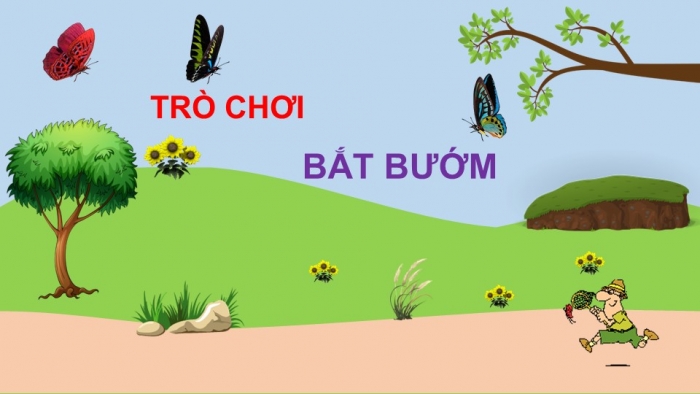 Giáo án PPT HĐTN 2 chân trời Chủ đề 3 Tuần 9