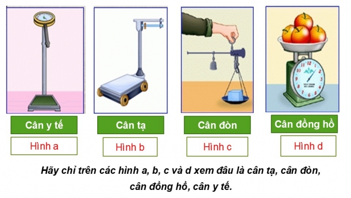 Giáo án PPT KHTN 6 chân trời Bài 5: Đo khối lượng