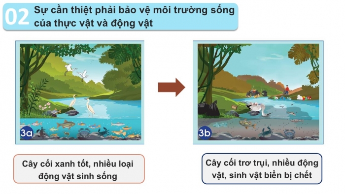 Giáo án PPT Tự nhiên và Xã hội 2 chân trời Bài 16: Bảo vệ môi trường sống của thực vật và động vật