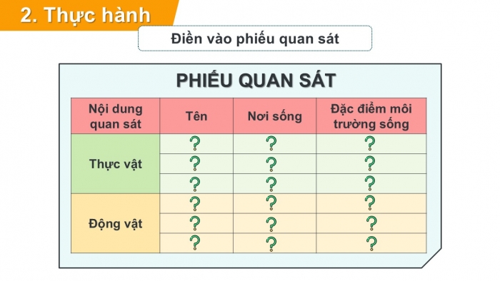 Giáo án PPT Tự nhiên và Xã hội 2 chân trời Bài 17: Thực hành tìm hiểu môi trường sống của thực vật và động vật