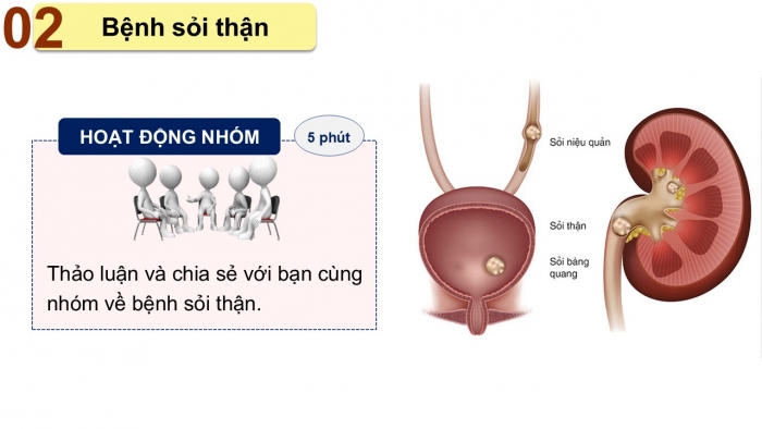 Giáo án PPT Tự nhiên và Xã hội 2 chân trời Bài 24: Chăm sóc, bảo vệ cơ quan bài tiết nước tiểu