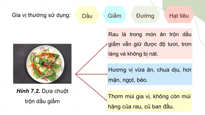 Giáo án điện tử Công nghệ 9 Chế biến thực phẩm Kết nối Bài 7: Chế biến thực phẩm không sử dụng nhiệt