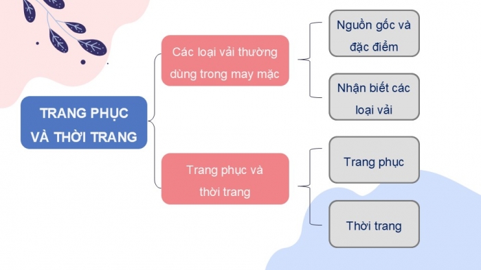 Giáo án PPT Công nghệ 6 cánh diều Ôn tập chủ đề 3