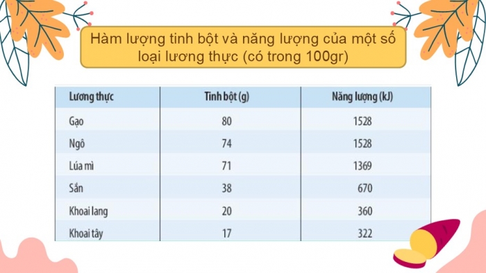 Giáo án PPT KHTN 6 cánh diều Bài 9: Một số lương thực – thực phẩm thông dụng