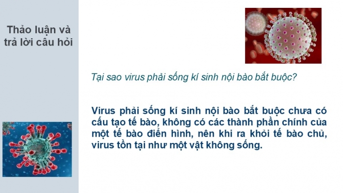 Giáo án PPT KHTN 6 cánh diều Bài 16: Virus và vi khuẩn